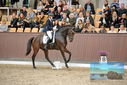 Filename=PT9_8648.JPG
Filesize=449KiB
Dimensions=1224x817
Date added=Oct 18, 2022 PT9_8648.JPG