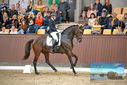 Filename=PT9_8649.JPG
Filesize=429KiB
Dimensions=1224x817
Date added=Oct 18, 2022 PT9_8649.JPG