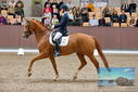 Filename=PT9_8652.JPG
Filesize=468KiB
Dimensions=1224x817
Date added=Oct 18, 2022 PT9_8652.JPG