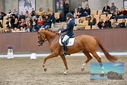 Filename=PT9_8658.JPG
Filesize=427KiB
Dimensions=1224x817
Date added=Oct 18, 2022 PT9_8658.JPG
