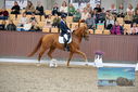 Filename=PT9_8660.JPG
Filesize=457KiB
Dimensions=1224x817
Date added=Oct 18, 2022 PT9_8660.JPG