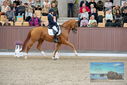 Filename=PT9_8661.JPG
Filesize=442KiB
Dimensions=1224x817
Date added=Oct 18, 2022 PT9_8661.JPG