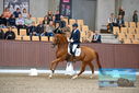 Filename=PT9_8662.JPG
Filesize=427KiB
Dimensions=1224x817
Date added=Oct 18, 2022 PT9_8662.JPG