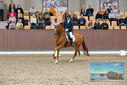 Filename=PT9_8664.JPG
Filesize=481KiB
Dimensions=1224x817
Date added=Oct 18, 2022 PT9_8664.JPG