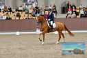 Filename=PT9_8665.JPG
Filesize=461KiB
Dimensions=1224x817
Date added=Oct 18, 2022 PT9_8665.JPG
