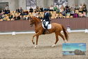 Filename=PT9_8666.JPG
Filesize=506KiB
Dimensions=1224x817
Date added=Oct 18, 2022 PT9_8666.JPG