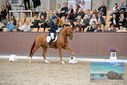 Filename=PT9_8667.JPG
Filesize=447KiB
Dimensions=1224x817
Date added=Oct 18, 2022 PT9_8667.JPG