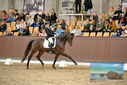 Filename=PT9_8669.JPG
Filesize=460KiB
Dimensions=1224x817
Date added=Oct 18, 2022 PT9_8669.JPG