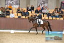 Filename=PT9_8670.JPG
Filesize=409KiB
Dimensions=1224x817
Date added=Oct 18, 2022 PT9_8670.JPG