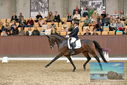 Filename=PT9_8673.JPG
Filesize=419KiB
Dimensions=1224x817
Date added=Oct 18, 2022 PT9_8673.JPG