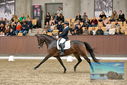 Filename=PT9_8674.JPG
Filesize=473KiB
Dimensions=1224x817
Date added=Oct 18, 2022 PT9_8674.JPG