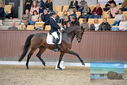Filename=PT9_8675.JPG
Filesize=436KiB
Dimensions=1224x817
Date added=Oct 18, 2022 PT9_8675.JPG