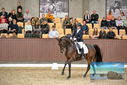 Filename=PT9_8676.JPG
Filesize=437KiB
Dimensions=1224x817
Date added=Oct 18, 2022 PT9_8676.JPG