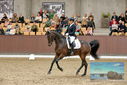 Filename=PT9_8678.JPG
Filesize=424KiB
Dimensions=1224x817
Date added=Oct 18, 2022 PT9_8678.JPG