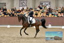 Filename=PT9_8679.JPG
Filesize=445KiB
Dimensions=1224x817
Date added=Oct 18, 2022 PT9_8679.JPG