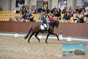 Filename=PT9_8681.JPG
Filesize=466KiB
Dimensions=1224x817
Date added=Oct 18, 2022 PT9_8681.JPG