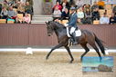 Filename=PT9_8682.JPG
Filesize=423KiB
Dimensions=1224x817
Date added=Oct 18, 2022 PT9_8682.JPG
