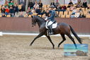 Filename=PT9_8684.JPG
Filesize=429KiB
Dimensions=1224x817
Date added=Oct 18, 2022 PT9_8684.JPG