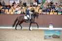 Filename=PT9_8685.JPG
Filesize=436KiB
Dimensions=1224x817
Date added=Oct 18, 2022 PT9_8685.JPG