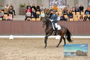 Filename=PT9_8688.JPG
Filesize=467KiB
Dimensions=1224x817
Date added=Oct 18, 2022 PT9_8688.JPG