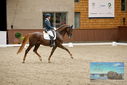 Filename=PT9_8692.JPG
Filesize=411KiB
Dimensions=1224x817
Date added=Oct 18, 2022 PT9_8692.JPG