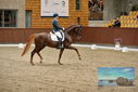 Filename=PT9_8693.JPG
Filesize=445KiB
Dimensions=1224x817
Date added=Oct 18, 2022 PT9_8693.JPG