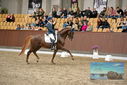 Filename=PT9_8695.JPG
Filesize=454KiB
Dimensions=1224x817
Date added=Oct 18, 2022 PT9_8695.JPG