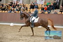 Filename=PT9_8697.JPG
Filesize=438KiB
Dimensions=1224x817
Date added=Oct 18, 2022 PT9_8697.JPG