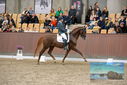 Filename=PT9_8700.JPG
Filesize=462KiB
Dimensions=1224x817
Date added=Oct 18, 2022 PT9_8700.JPG