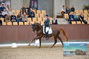 Filename=PT9_8701.JPG
Filesize=418KiB
Dimensions=1224x817
Date added=Oct 18, 2022 PT9_8701.JPG