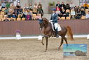 Filename=PT9_8704.JPG
Filesize=451KiB
Dimensions=1224x817
Date added=Oct 18, 2022 PT9_8704.JPG