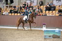 Filename=PT9_8705.JPG
Filesize=442KiB
Dimensions=1224x817
Date added=Oct 18, 2022 PT9_8705.JPG
