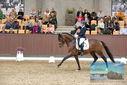 Filename=PT9_8708.JPG
Filesize=412KiB
Dimensions=1224x817
Date added=Oct 18, 2022 PT9_8708.JPG
