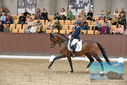 Filename=PT9_8709.JPG
Filesize=401KiB
Dimensions=1224x817
Date added=Oct 18, 2022 PT9_8709.JPG