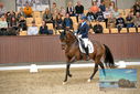 Filename=PT9_8712.JPG
Filesize=445KiB
Dimensions=1224x817
Date added=Oct 18, 2022 PT9_8712.JPG