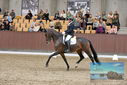 Filename=PT9_8718.JPG
Filesize=445KiB
Dimensions=1224x817
Date added=Oct 18, 2022 PT9_8718.JPG