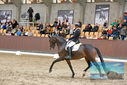 Filename=PT9_8721.JPG
Filesize=451KiB
Dimensions=1224x817
Date added=Oct 18, 2022 PT9_8721.JPG