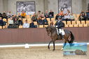 Filename=PT9_8723.JPG
Filesize=431KiB
Dimensions=1224x817
Date added=Oct 18, 2022 PT9_8723.JPG