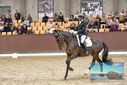 Filename=PT9_8725.JPG
Filesize=430KiB
Dimensions=1224x817
Date added=Oct 18, 2022 PT9_8725.JPG