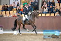 Filename=PT9_8726.JPG
Filesize=445KiB
Dimensions=1224x817
Date added=Oct 18, 2022 PT9_8726.JPG
