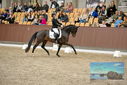 Filename=PT9_8728.JPG
Filesize=447KiB
Dimensions=1224x817
Date added=Oct 18, 2022 PT9_8728.JPG