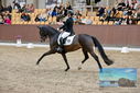 Filename=PT9_8729.JPG
Filesize=416KiB
Dimensions=1224x817
Date added=Oct 18, 2022 PT9_8729.JPG