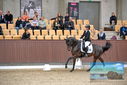 Filename=PT9_8733.JPG
Filesize=407KiB
Dimensions=1224x817
Date added=Oct 18, 2022 PT9_8733.JPG