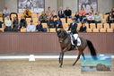 Filename=PT9_8734.JPG
Filesize=431KiB
Dimensions=1224x817
Date added=Oct 18, 2022 PT9_8734.JPG