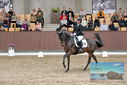 Filename=PT9_8735.JPG
Filesize=486KiB
Dimensions=1224x817
Date added=Oct 18, 2022 PT9_8735.JPG