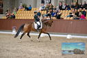 Filename=PT9_8739.JPG
Filesize=459KiB
Dimensions=1224x817
Date added=Oct 18, 2022 PT9_8739.JPG