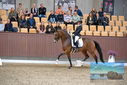 Filename=PT9_8741.JPG
Filesize=443KiB
Dimensions=1224x817
Date added=Oct 18, 2022 PT9_8741.JPG