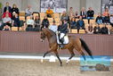 Filename=PT9_8742.JPG
Filesize=446KiB
Dimensions=1224x817
Date added=Oct 18, 2022 PT9_8742.JPG