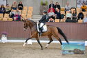 Filename=PT9_8743.JPG
Filesize=429KiB
Dimensions=1224x817
Date added=Oct 18, 2022 PT9_8743.JPG