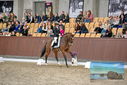 Filename=PT9_8753.JPG
Filesize=452KiB
Dimensions=1224x817
Date added=Oct 18, 2022 PT9_8753.JPG